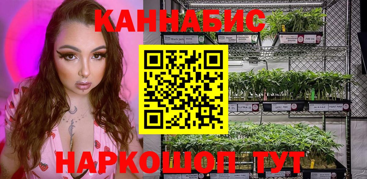 Канабис OG Kush Кунгур